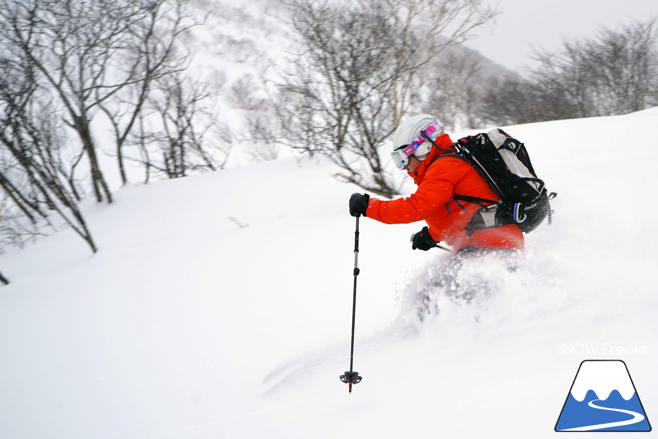 Mt.石井スポーツ / b.c.map イベント『児玉毅・山木匡浩と行く、ニセコパウダーハンティング 2019』密着レポート!!